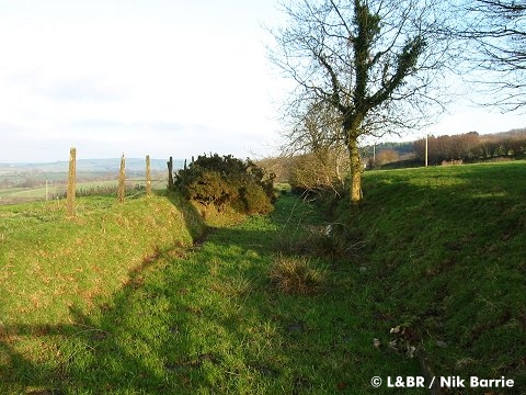 Cutting at Rowley Moor, near Blackmoor 