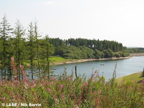 Wistlandpound Reservoir, the first glimpse gained from the trackbed as it sweeps into view