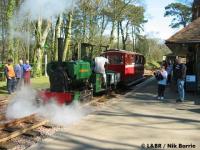 Peter Pan at Woody Bay